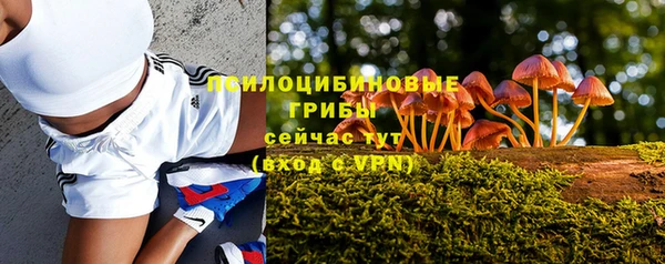 трава Краснослободск