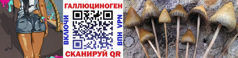 как найти наркотики  Чапаевск  Галлюциногенные грибы мицелий 