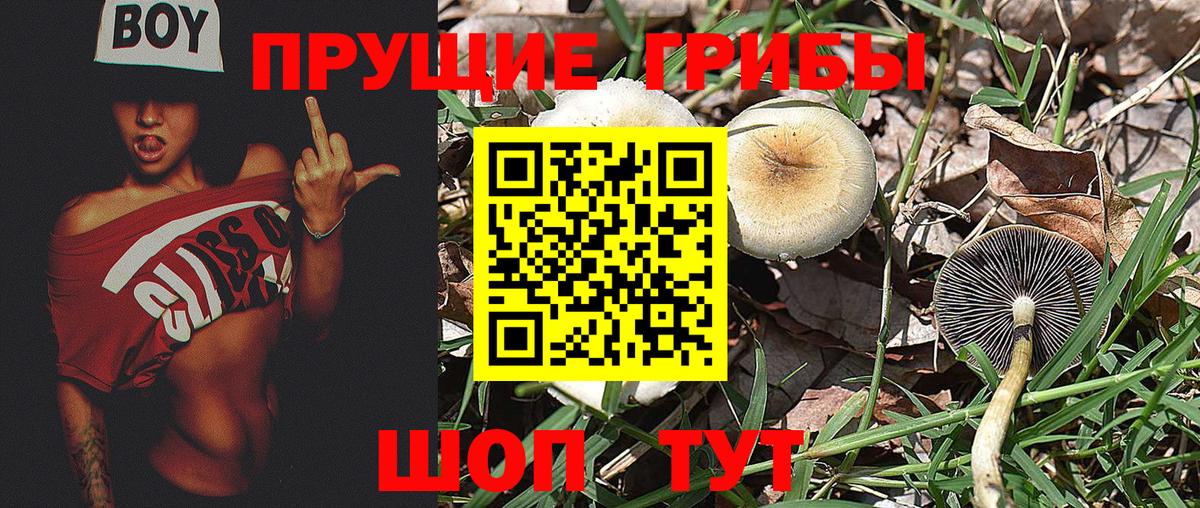 Псилоцибиновые грибы MAGIC MUSHROOMS  Галлюциногенные грибы Cubensis  где найти наркотики  Чапаевск  Вход с VPN 