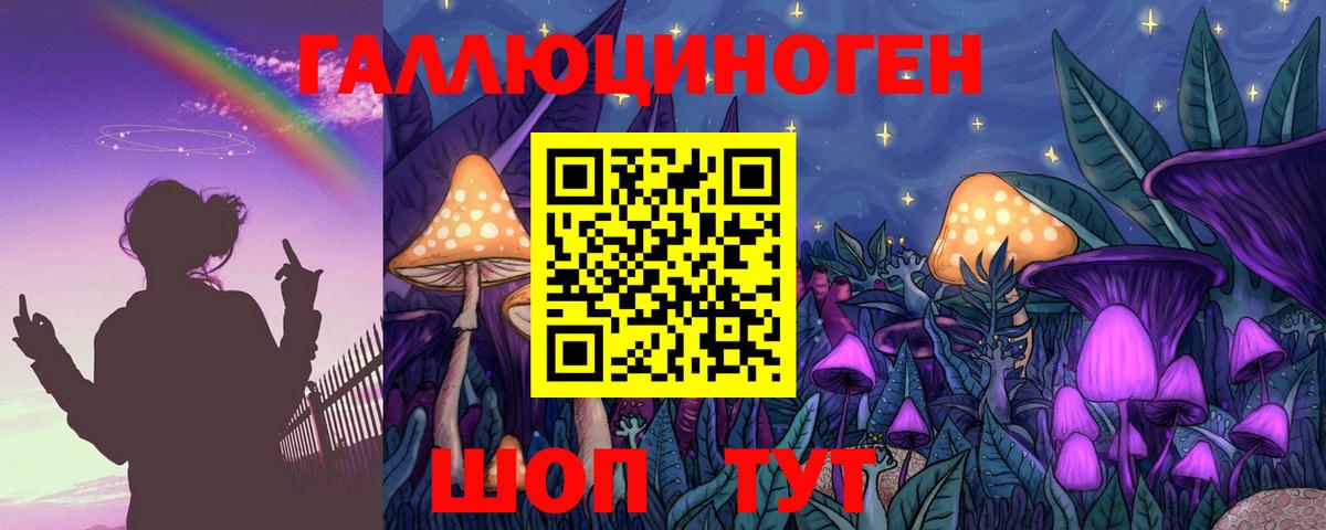 Галлюциногенные грибы GOLDEN TEACHER Чапаевск