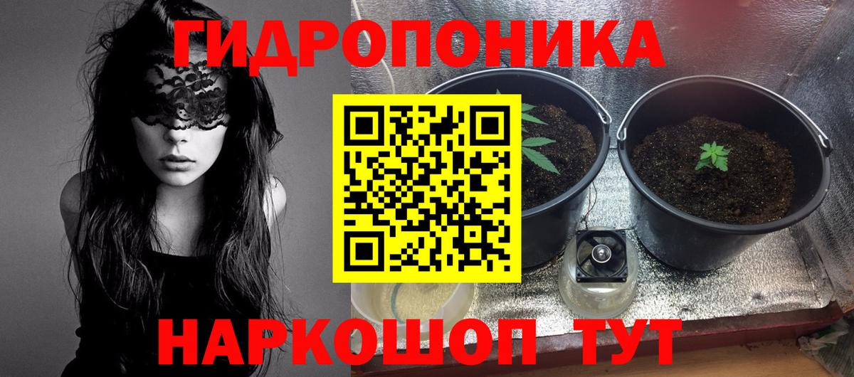 Конопля планчик  Бошки Шишки Ganja  Вход с VPN  Чапаевск 